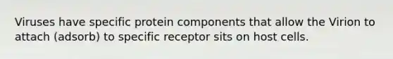 Viruses have specific protein components that allow the Virion to attach (adsorb) to specific receptor sits on host cells.