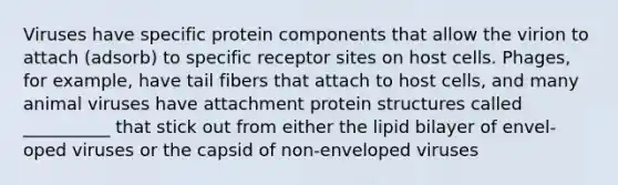 Viruses have specific protein components that allow the virion to attach (adsorb) to specific receptor sites on host cells. Phages, for example, have tail fibers that attach to host cells, and many animal viruses have attachment <a href='https://www.questionai.com/knowledge/kcfXlB10Op-protein-structure' class='anchor-knowledge'>protein structure</a>s called __________ that stick out from either the lipid bilayer of envel-oped viruses or the capsid of non-enveloped viruses