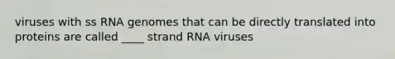 viruses with ss RNA genomes that can be directly translated into proteins are called ____ strand RNA viruses