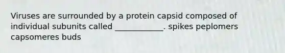 Viruses are surrounded by a protein capsid composed of individual subunits called ____________. spikes peplomers capsomeres buds