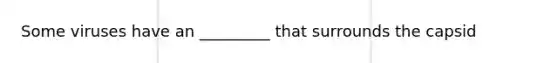 Some viruses have an _________ that surrounds the capsid