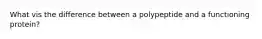 What vis the difference between a polypeptide and a functioning protein?