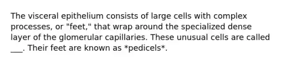 The visceral epithelium consists of large cells with complex processes, or "feet," that wrap around the specialized dense layer of the glomerular capillaries. These unusual cells are called ___. Their feet are known as *pedicels*.