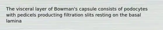 The visceral layer of Bowman's capsule consists of podocytes with pedicels producting filtration slits resting on the basal lamina