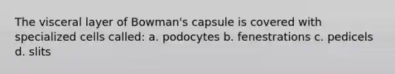 The visceral layer of Bowman's capsule is covered with specialized cells called: a. podocytes b. fenestrations c. pedicels d. slits