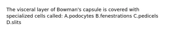 The visceral layer of Bowman's capsule is covered with specialized cells called: A.podocytes B.fenestrations C.pedicels D.slits