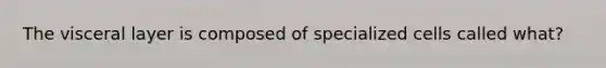 The visceral layer is composed of specialized cells called what?