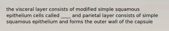 the visceral layer consists of modified simple squamous epithelium cells called ____ and parietal layer consists of simple squamous epithelium and forms the outer wall of the capsule