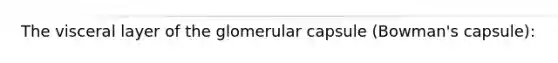 The visceral layer of the glomerular capsule (Bowman's capsule):