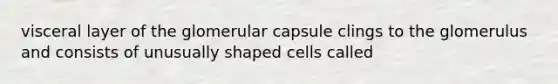 visceral layer of the glomerular capsule clings to the glomerulus and consists of unusually shaped cells called