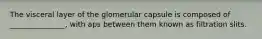 The visceral layer of the glomerular capsule is composed of _______________, with aps between them known as filtration slits.