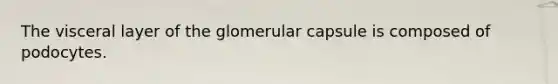 The visceral layer of the glomerular capsule is composed of podocytes.