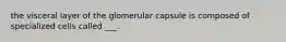 the visceral layer of the glomerular capsule is composed of specialized cells called ___.