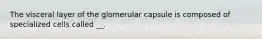 The visceral layer of the glomerular capsule is composed of specialized cells called __.