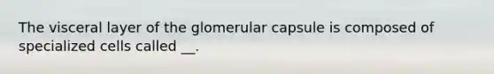 The visceral layer of the glomerular capsule is composed of specialized cells called __.