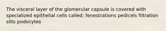 The visceral layer of the glomerular capsule is covered with specialized epithelial cells called: fenestrations pedicels filtration slits podocytes