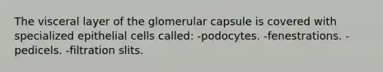 The visceral layer of the glomerular capsule is covered with specialized epithelial cells called: -podocytes. -fenestrations. -pedicels. -filtration slits.