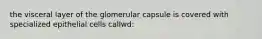 the visceral layer of the glomerular capsule is covered with specialized epithelial cells callwd: