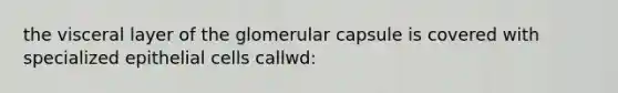 the visceral layer of the glomerular capsule is covered with specialized epithelial cells callwd: