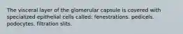 The visceral layer of the glomerular capsule is covered with specialized epithelial cells called: fenestrations. pedicels. podocytes. filtration slits.