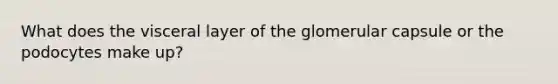 What does the visceral layer of the glomerular capsule or the podocytes make up?