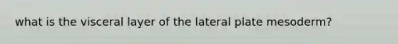 what is the visceral layer of the lateral plate mesoderm?