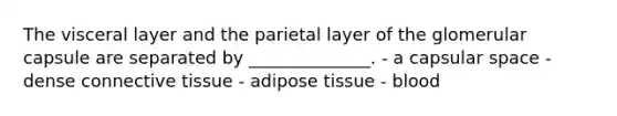 The visceral layer and the parietal layer of the glomerular capsule are separated by ______________. - a capsular space - dense connective tissue - adipose tissue - blood