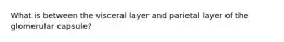 What is between the visceral layer and parietal layer of the glomerular capsule?