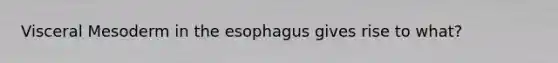 Visceral Mesoderm in the esophagus gives rise to what?