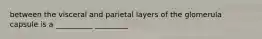 between the visceral and parietal layers of the glomerula capsule is a __________ _________