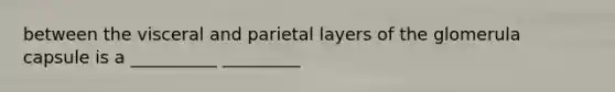 between the visceral and parietal layers of the glomerula capsule is a __________ _________