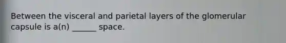 Between the visceral and parietal layers of the glomerular capsule is a(n) ______ space.