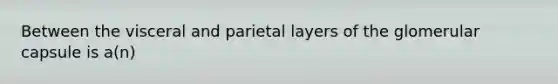 Between the visceral and parietal layers of the glomerular capsule is a(n)