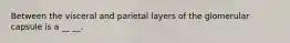 Between the visceral and parietal layers of the glomerular capsule is a __ __.