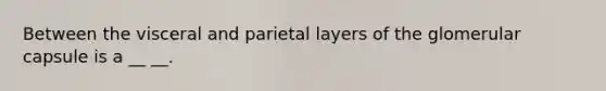 Between the visceral and parietal layers of the glomerular capsule is a __ __.