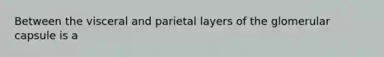 Between the visceral and parietal layers of the glomerular capsule is a