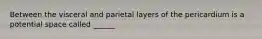 Between the visceral and parietal layers of the pericardium is a potential space called ______