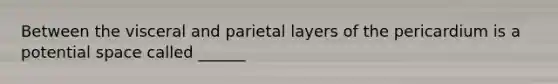 Between the visceral and parietal layers of the pericardium is a potential space called ______