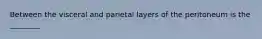 Between the visceral and parietal layers of the peritoneum is the ________