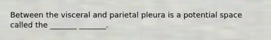 Between the visceral and parietal pleura is a potential space called the _______ _______.