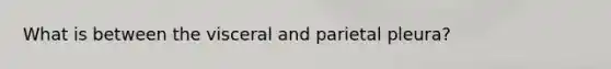 What is between the visceral and parietal pleura?