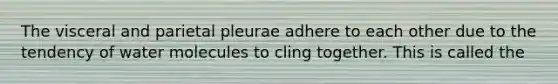 The visceral and parietal pleurae adhere to each other due to the tendency of water molecules to cling together. This is called the