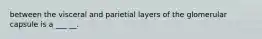 between the visceral and parietial layers of the glomerular capsule is a ___ __.