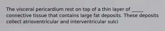 The visceral pericardium rest on top of a thin layer of _____ connective tissue that contains large fat deposits. These deposits collect atrioventricular and interventricular sulci
