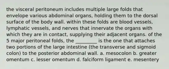 the visceral peritoneum includes multiple large folds that envelope various abdominal organs, holding them to the dorsal surface of the body wall. within these folds are blood vessels, lymphatic vessels, and nerves that innervate the organs with which they are in contact, supplying their adjacent organs. of the 5 major peritoneal folds, the _________ is the one that attaches two portions of the large intestine (the transverse and sigmoid colon) to the posterior abdominal wall. a. mesocolon b. greater omentum c. lesser omentum d. falciform ligament e. mesentery