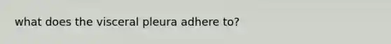 what does the visceral pleura adhere to?