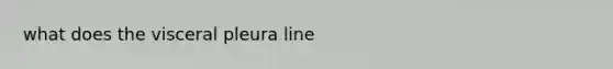 what does the visceral pleura line