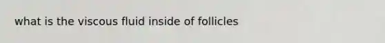 what is the viscous fluid inside of follicles