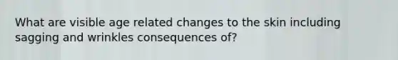 What are visible age related changes to the skin including sagging and wrinkles consequences of?