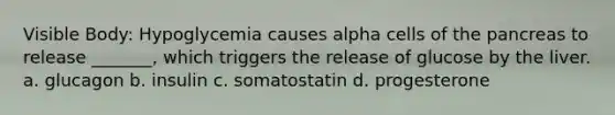 Visible Body: Hypoglycemia causes alpha cells of the pancreas to release _______, which triggers the release of glucose by the liver. a. glucagon b. insulin c. somatostatin d. progesterone